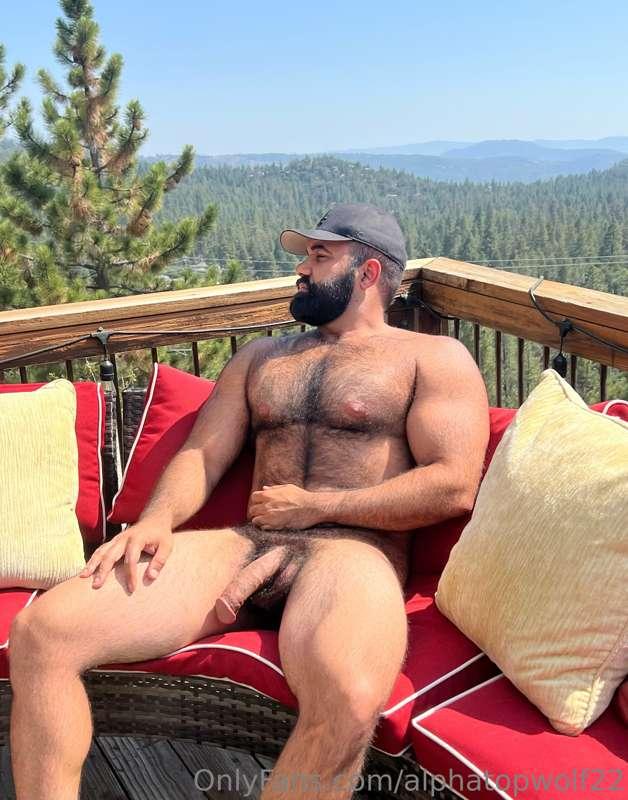 alphatopwolf22 image #2