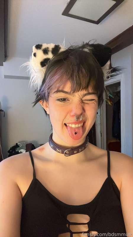 bdsmmutt image #0