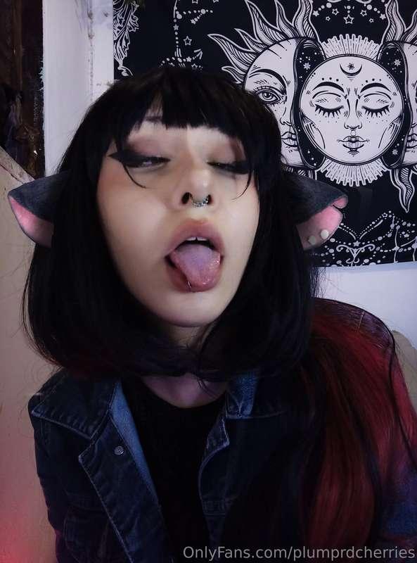 plumprdcherries image #0