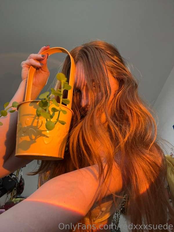 Cute plant n cute tits 🌳