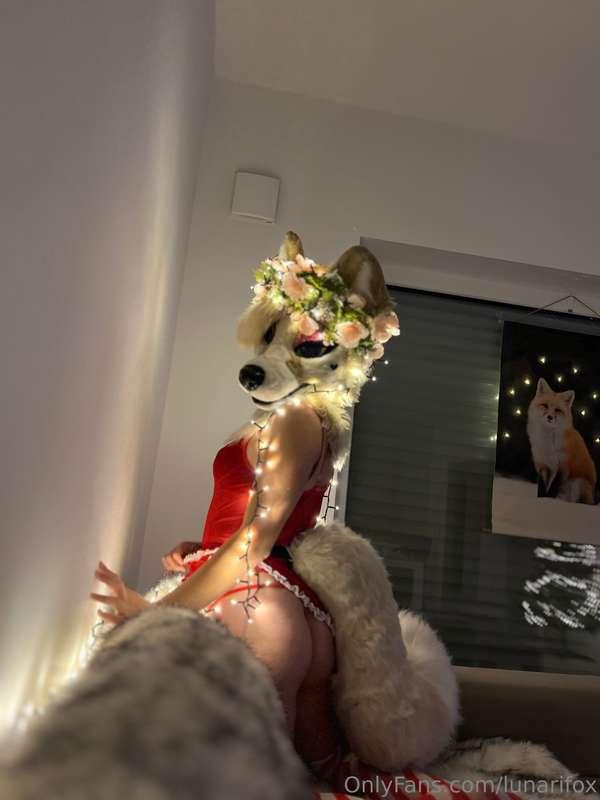lunarifox image #2