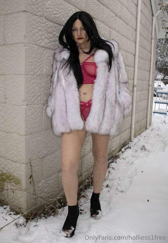 holliess1free image #7