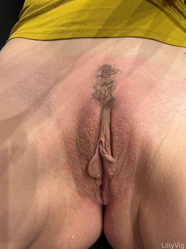 lillyvig image #1