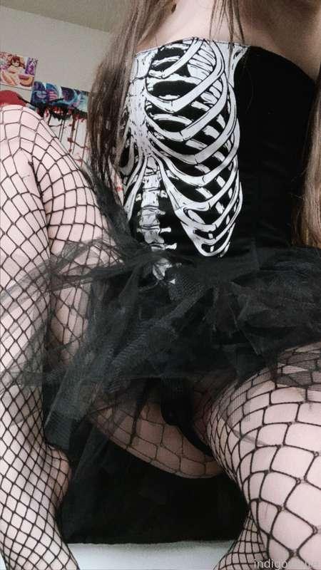 indigowhite image #8