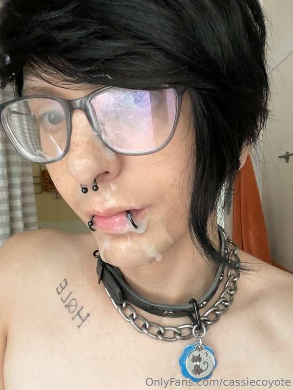 cassiecoyote image #0