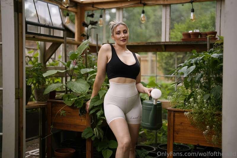 wolfofthewild image #0