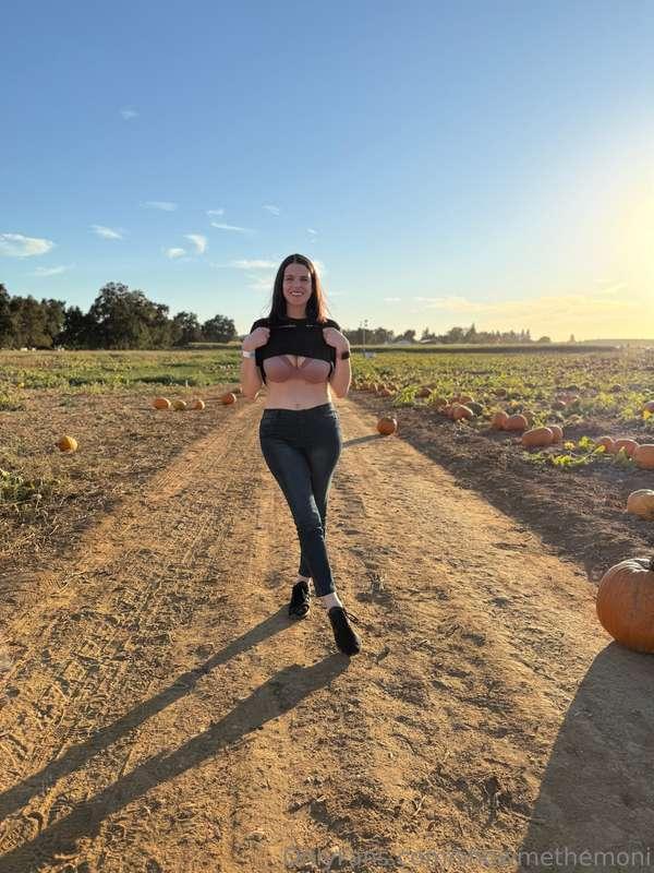 Happy Tiddies Tuesday! Last night at the pumpkin patch 🎃