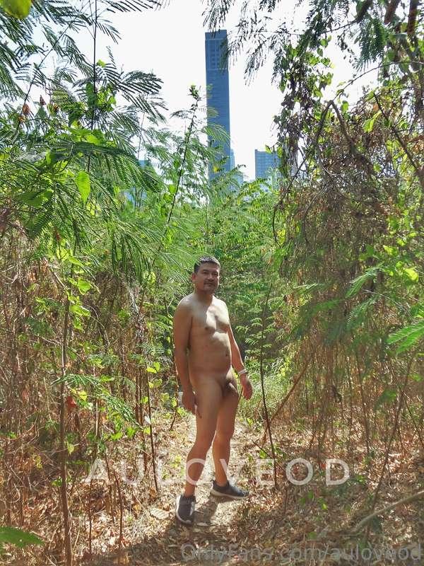 ชื่อภาพ : ป่ากลางเมือง | Forest in the city