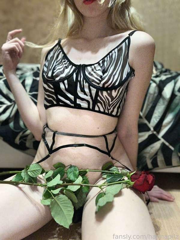 hannapilz image #3