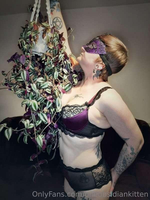 It's a plant care kind of day 🖤💜