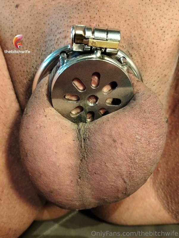 thebitchwife image #0