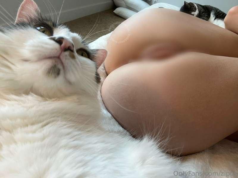 🐈‍⬛ Bug is smiling for the pic 🤎😸

🤍🤎 get this pic uncensore..