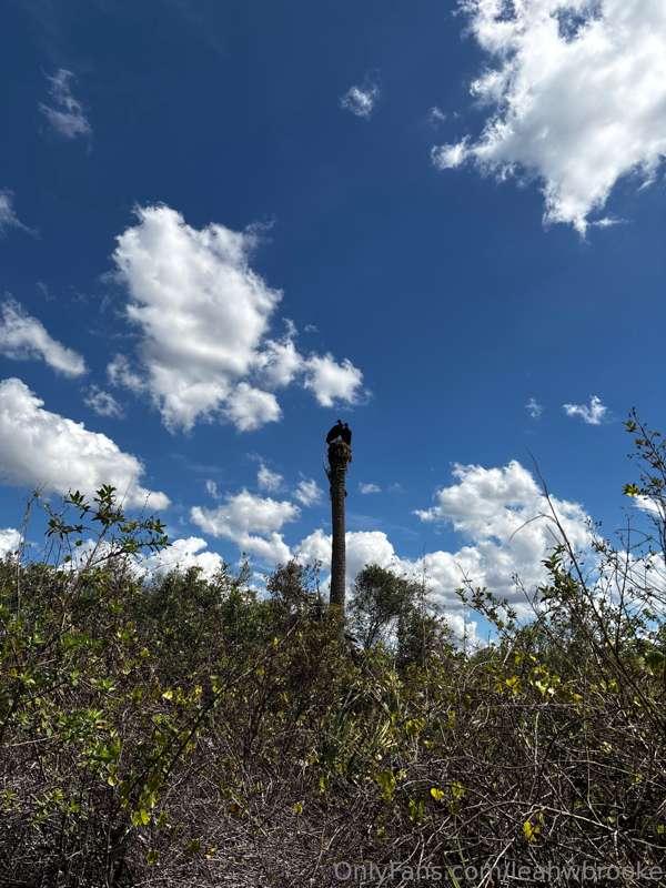 Mmmm I hiked a great trail today! Mmmm and also saw some coo..