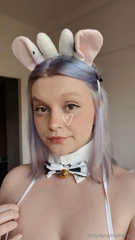 🐮🐮