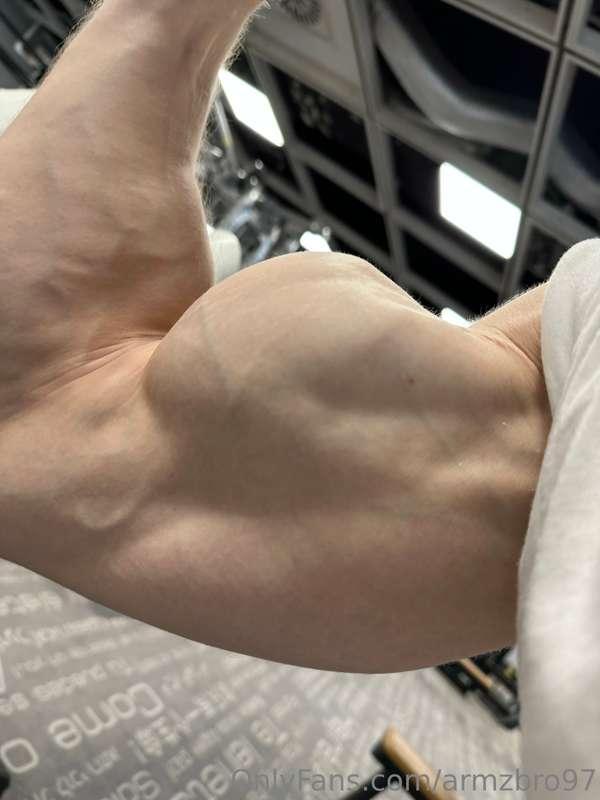 armzbro97 image #1