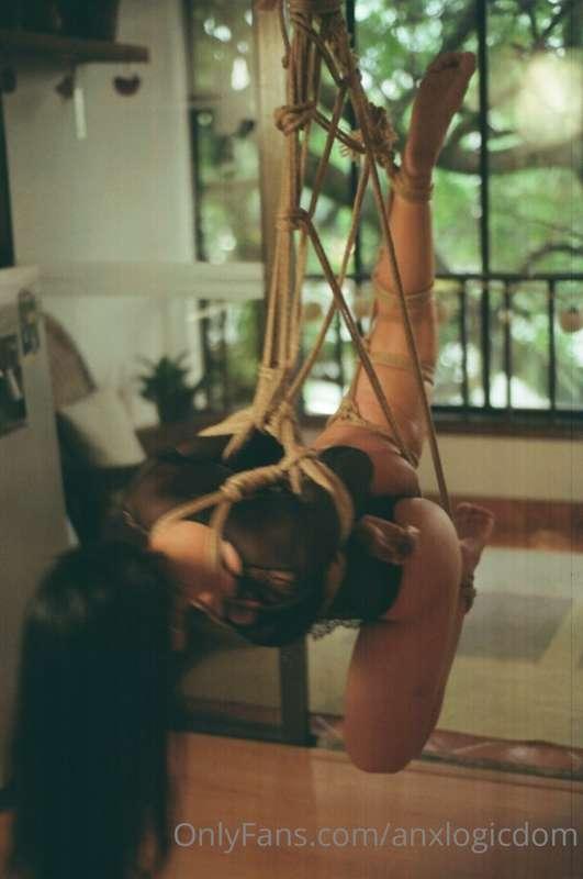 anxlogicdom image #1