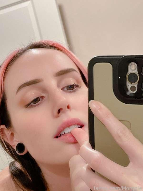 morgpie image #4