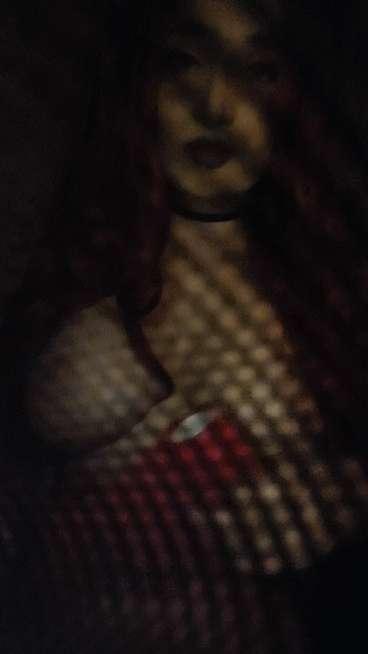 dahlialark image #1