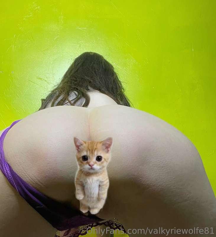 valkyriewolfe81 image #2