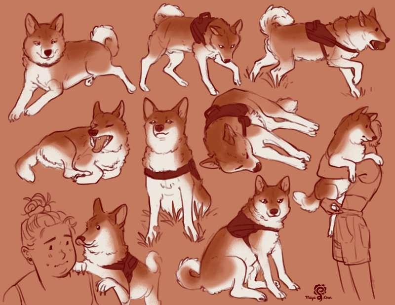 rodeo doodles