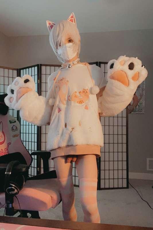 catboiaoi image #3