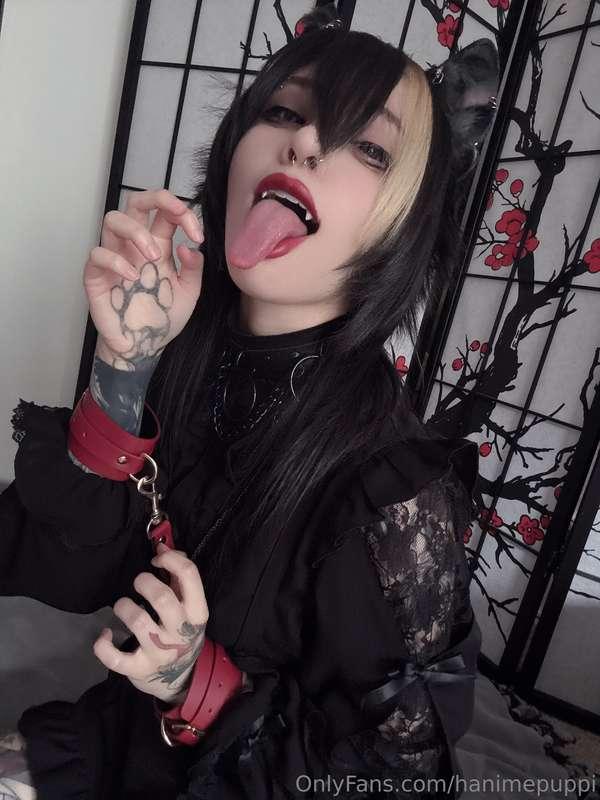 hanimepuppi image #1