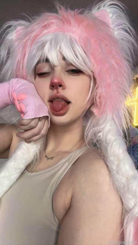 indigowhite image #249