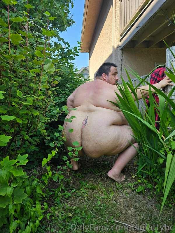 bigfattybc image #1