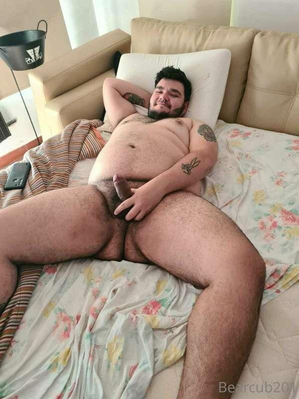 🐻