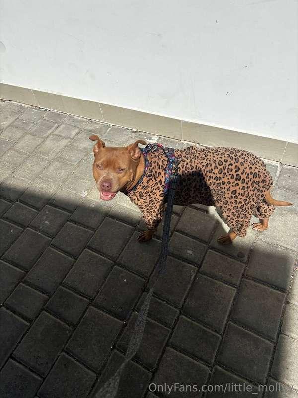 Just when you wanted to look the brightest in the neighborho..