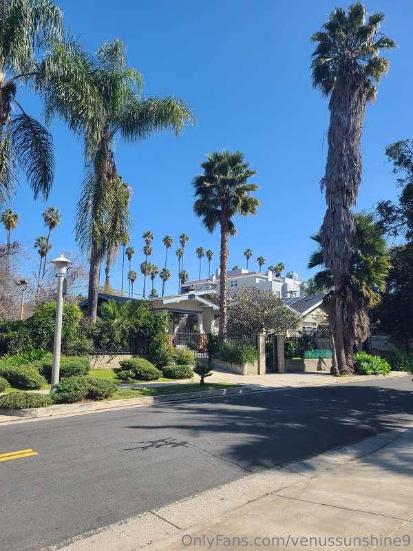 Here in LA for work and the TEA award show 🌴