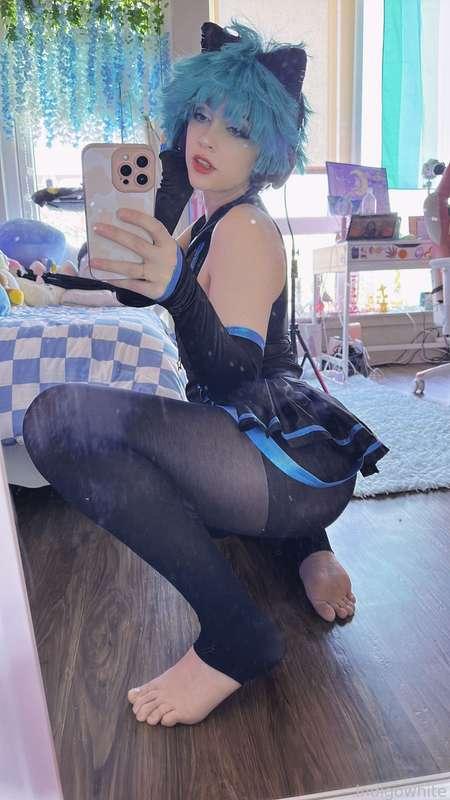 indigowhite image #25