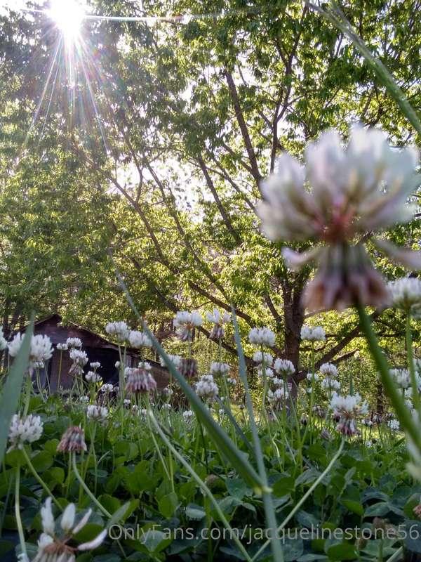 Just a day outside. :)