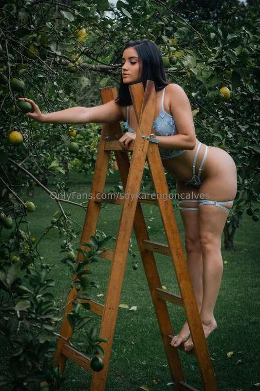 choosing the biggest lemon for a delicious lemonade 🍋