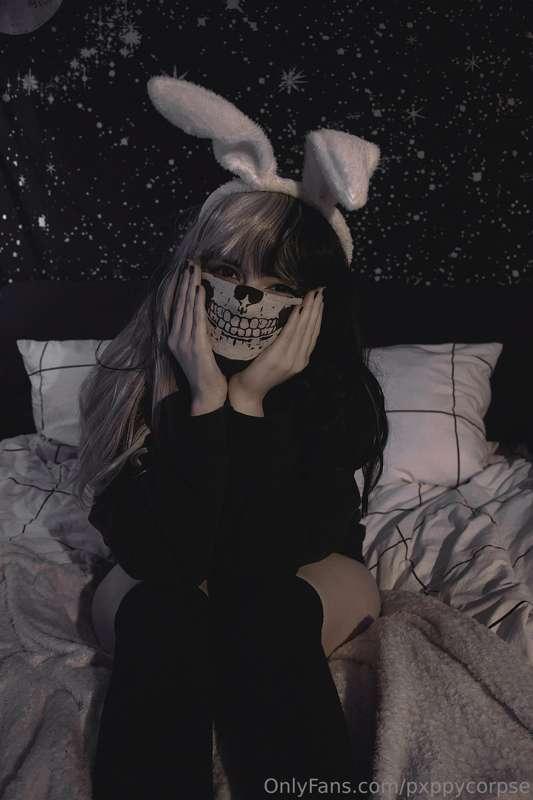 pxppycorpse main image