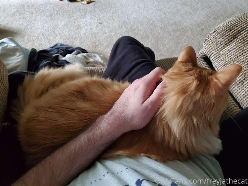 My human was just about to get up, until my brother showed u..