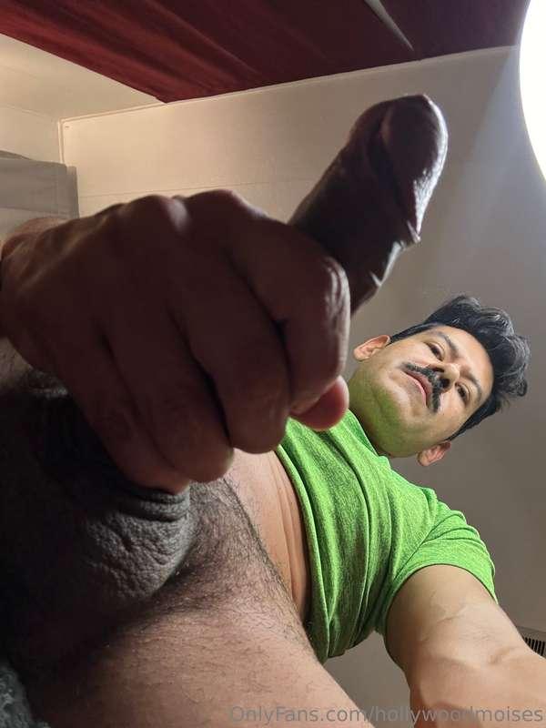 hollywoodmoises image #7