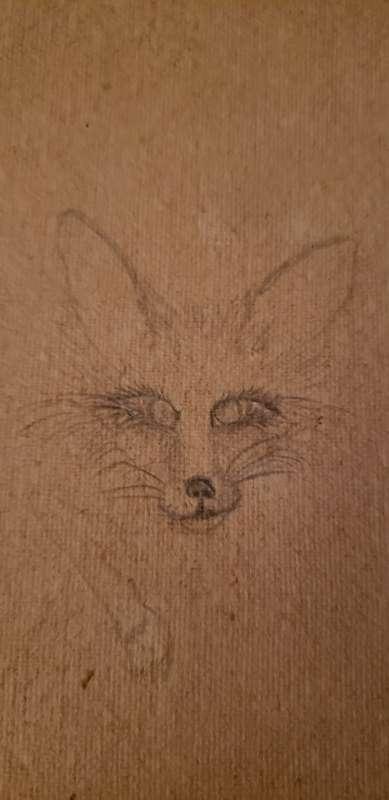 Fox drawing