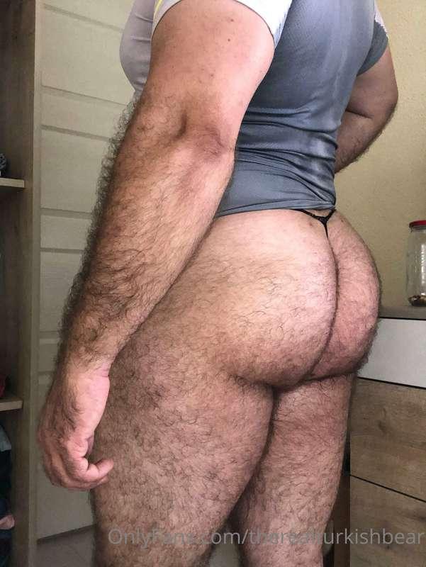 therealturkishbear main image