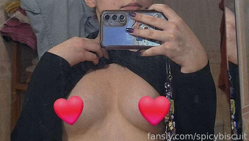 spicybiscuit image #0