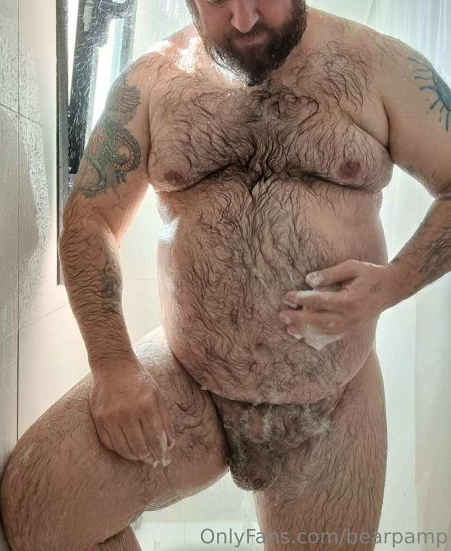 bearpamp image #1