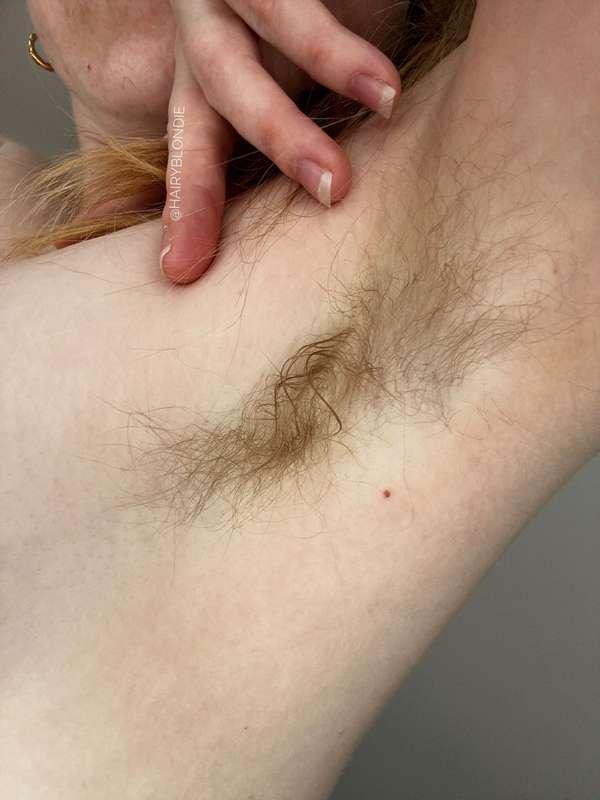 hairyblondie image #7