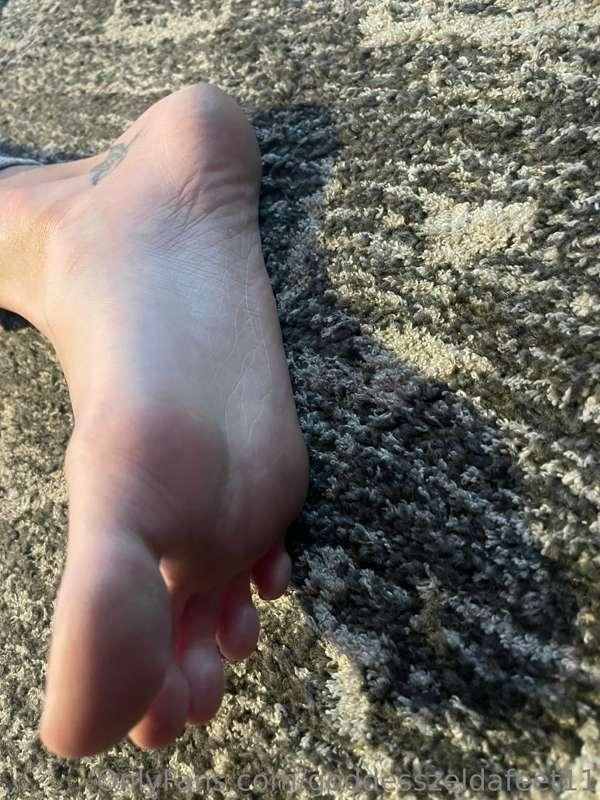 goddesszeldafeet11 image #2