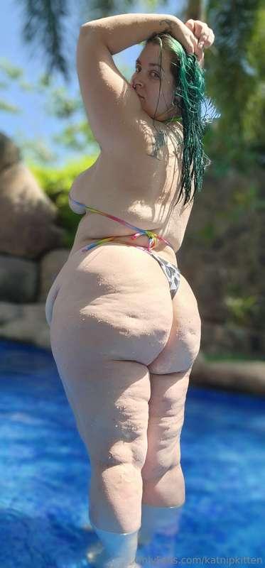 katnipkitten image #3