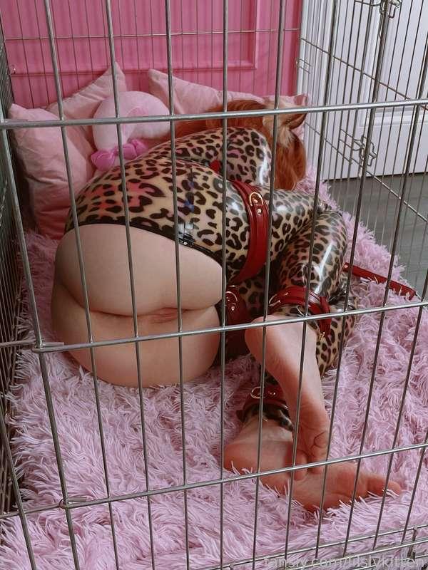 lilslvkitten image #4