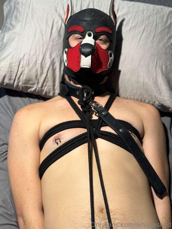 First time being bound and fucked into submission! 