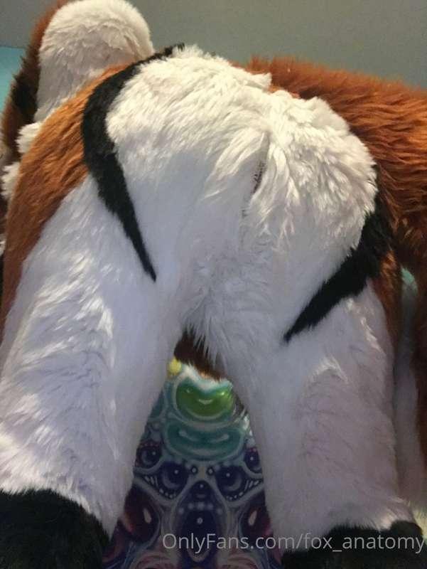My fun zipper~