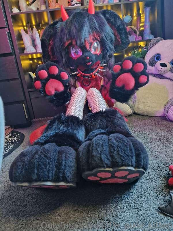 little_pixie_kitten image #9