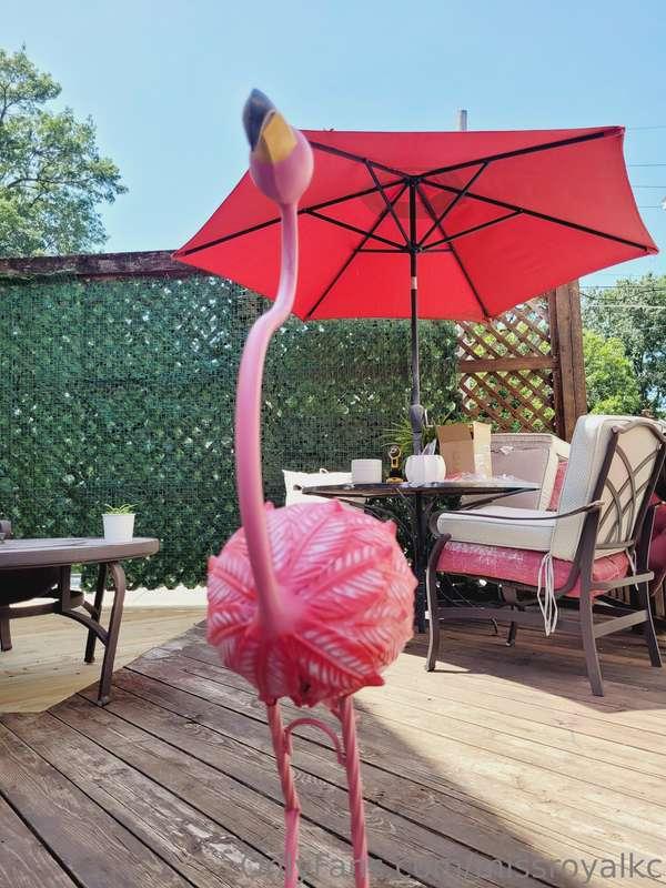 missroyalkc image #5