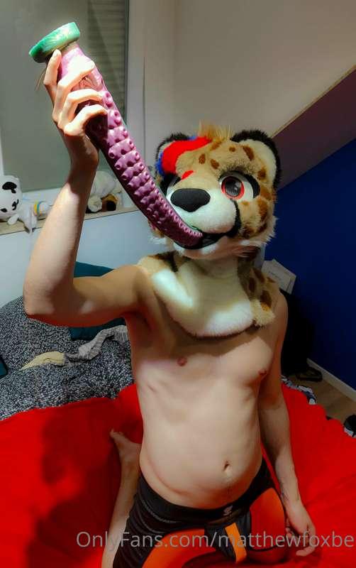 matthewfoxbe image #1